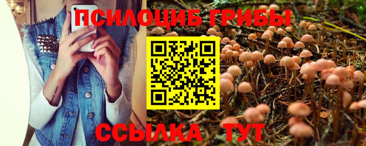 наркотики  Вход с VPN  Дзержинский  Галлюциногенные грибы Cubensis 